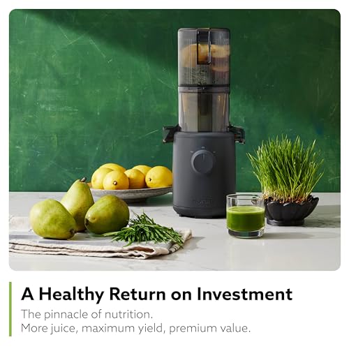 Self Feeding Slow Masticating Juicer T7283