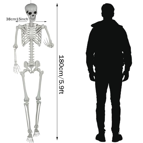 5.9ft Halloween Life Size Skeleton Plastic Human Bones with Movable Joints M496166