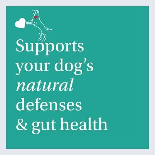 Dental Sticks Dog Dental Chews Q5484