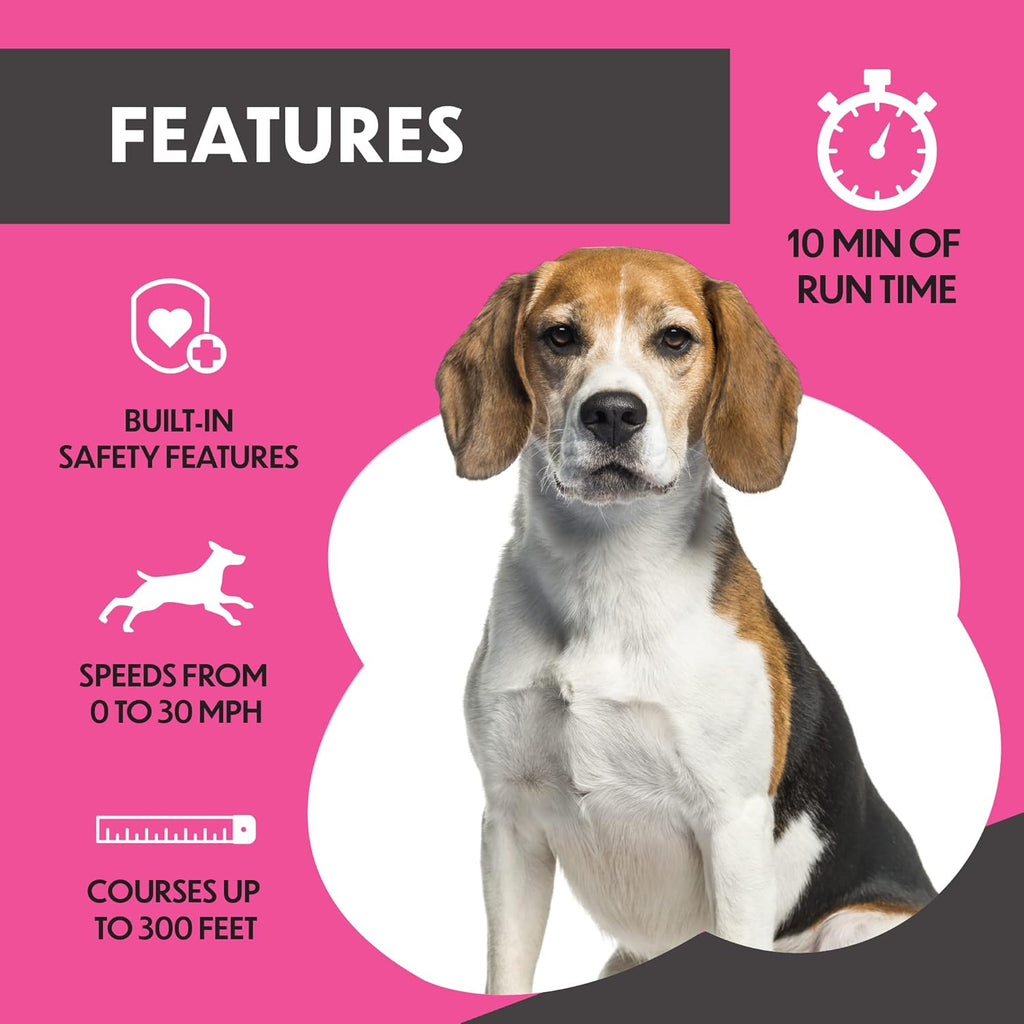 Remote-Control Capture-The-Flag Toy for Dogs C7239