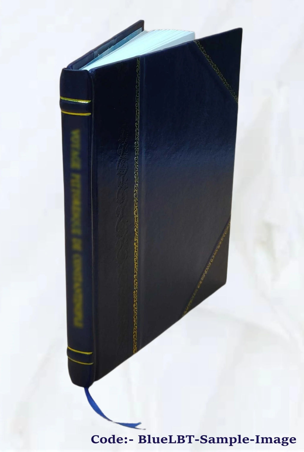 Father Damien Volume 370 1923 Leather Bound R43938