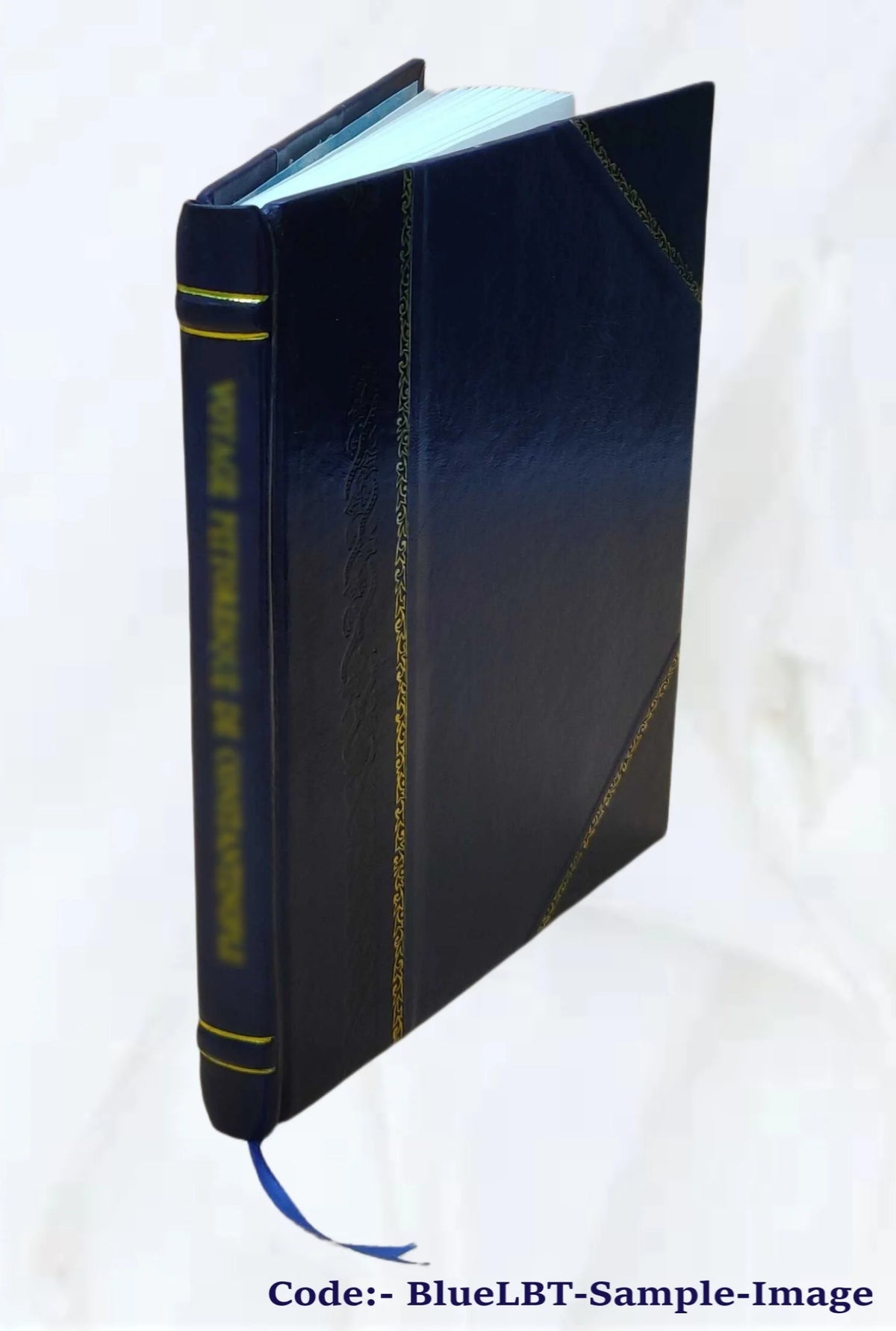 Father Damien Volume 370 1923 Leather Bound R43938