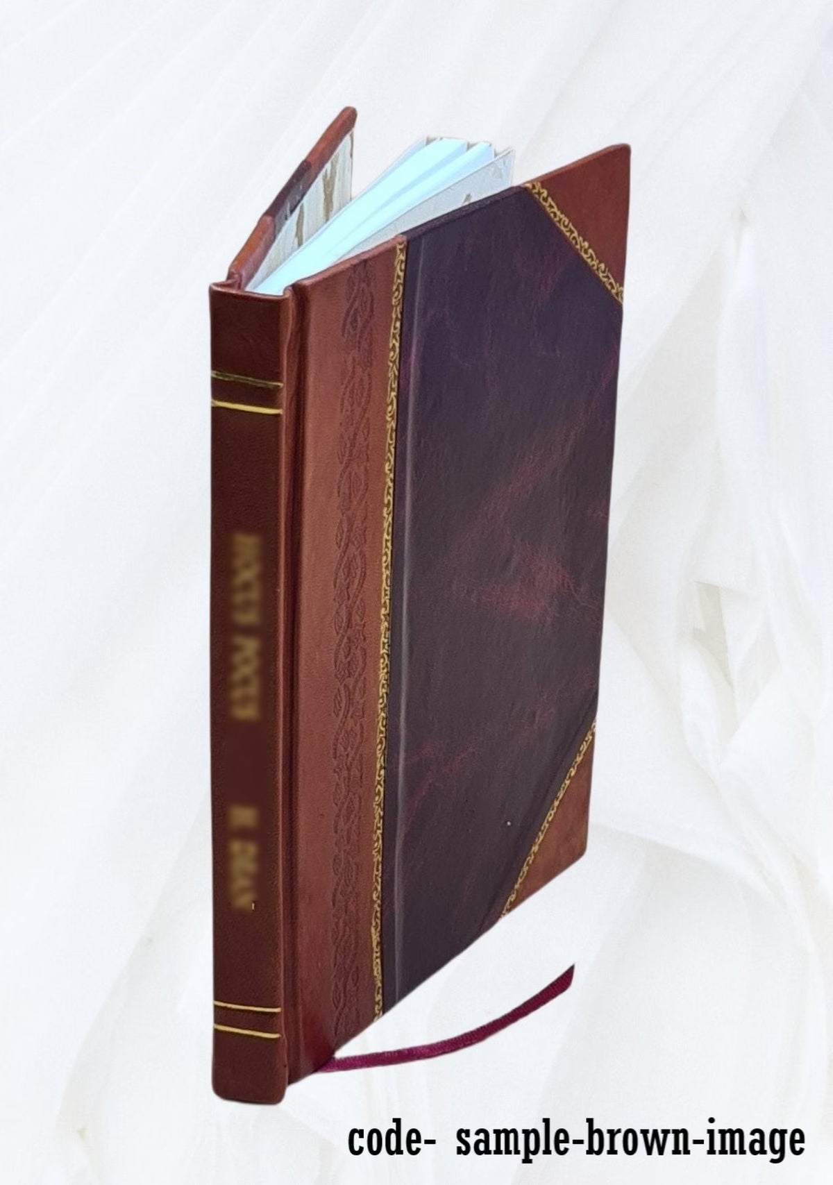 Father Damien Volume 370 1923 Leather Bound R43938