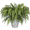 12 Pcs Artificial Green Pine Branches V491678