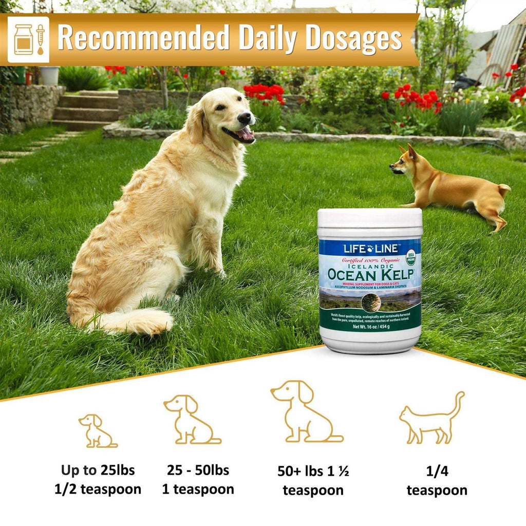 Ocean Kelp Dog & Cat Supplement U2168