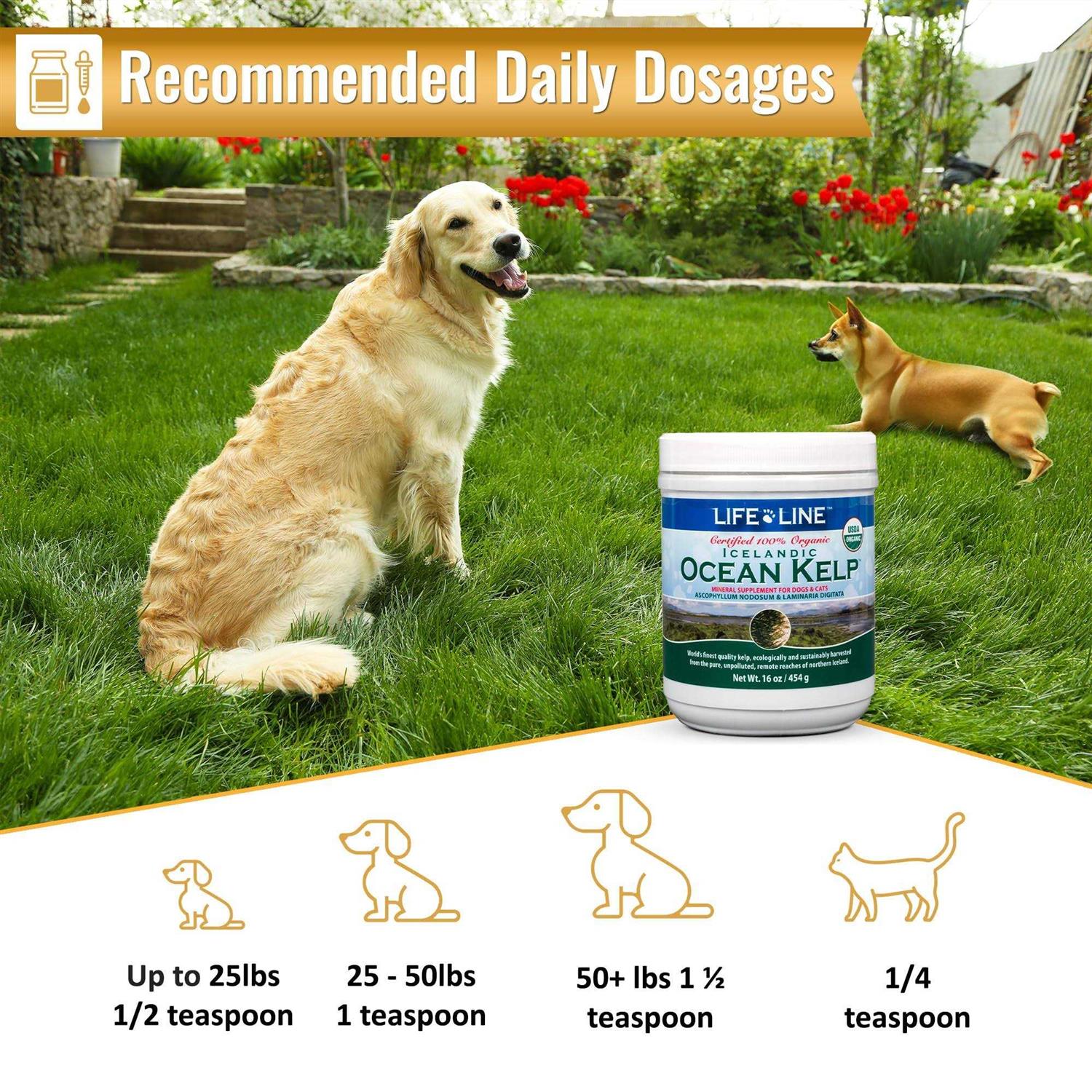 Ocean Kelp Dog & Cat Supplement U2168
