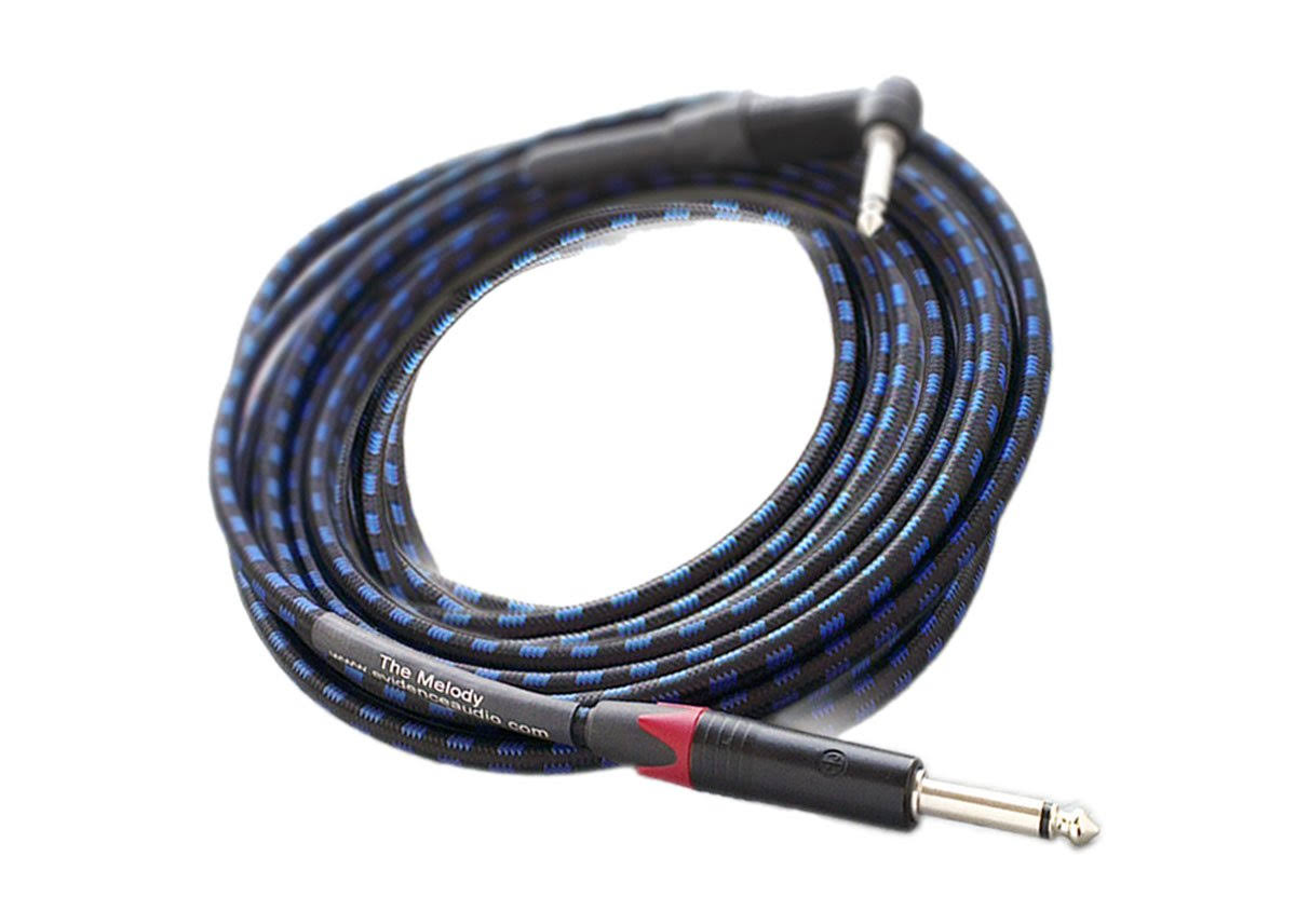 20-Foot Instrument Cable V973708