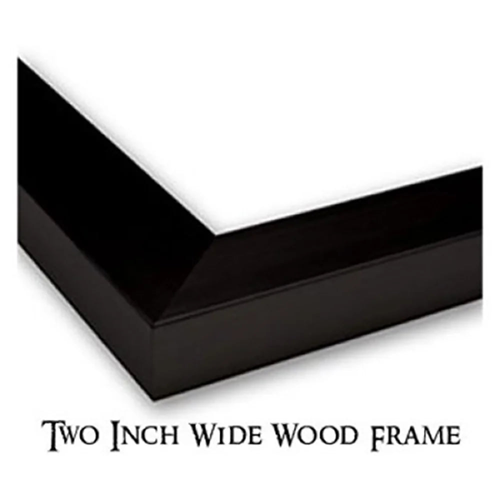 11x14 Black Framed Museum Art Print P643412
