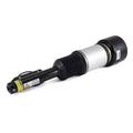 Suspension Strut Assembly J85858