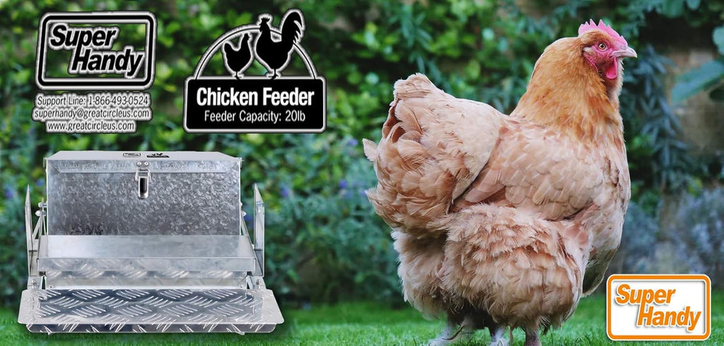 Chicken Feeder Automatic 20lbs Capacity Galvanized Steel B7191