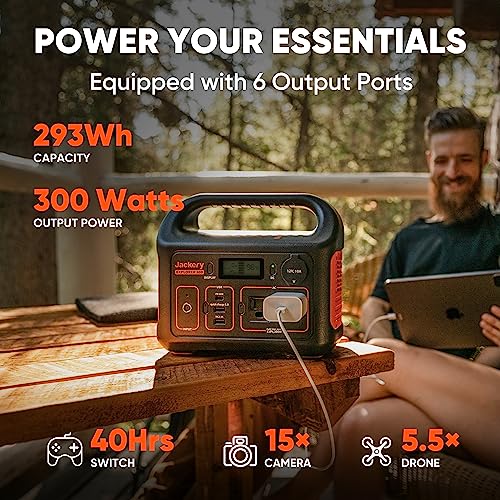 293Wh Portable Lithium Power Station D2663