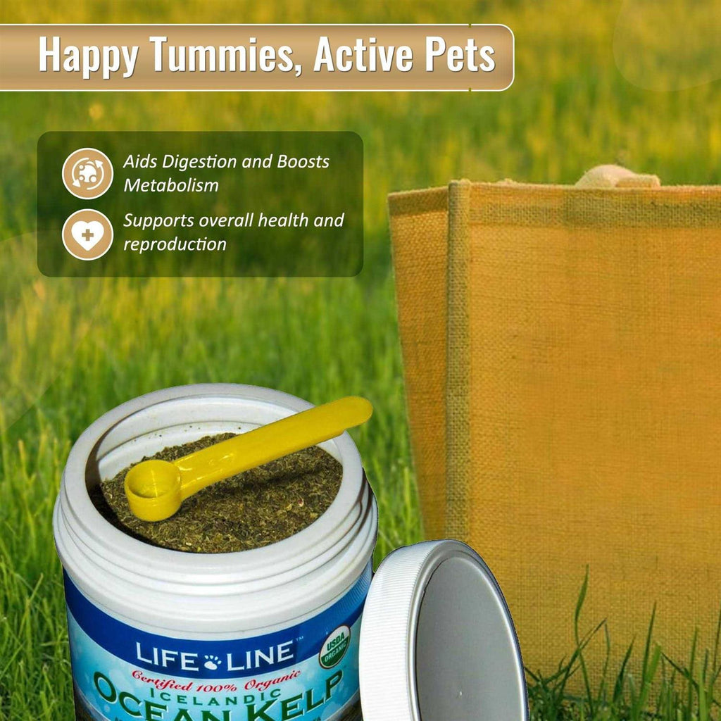 Ocean Kelp Dog & Cat Supplement U2168