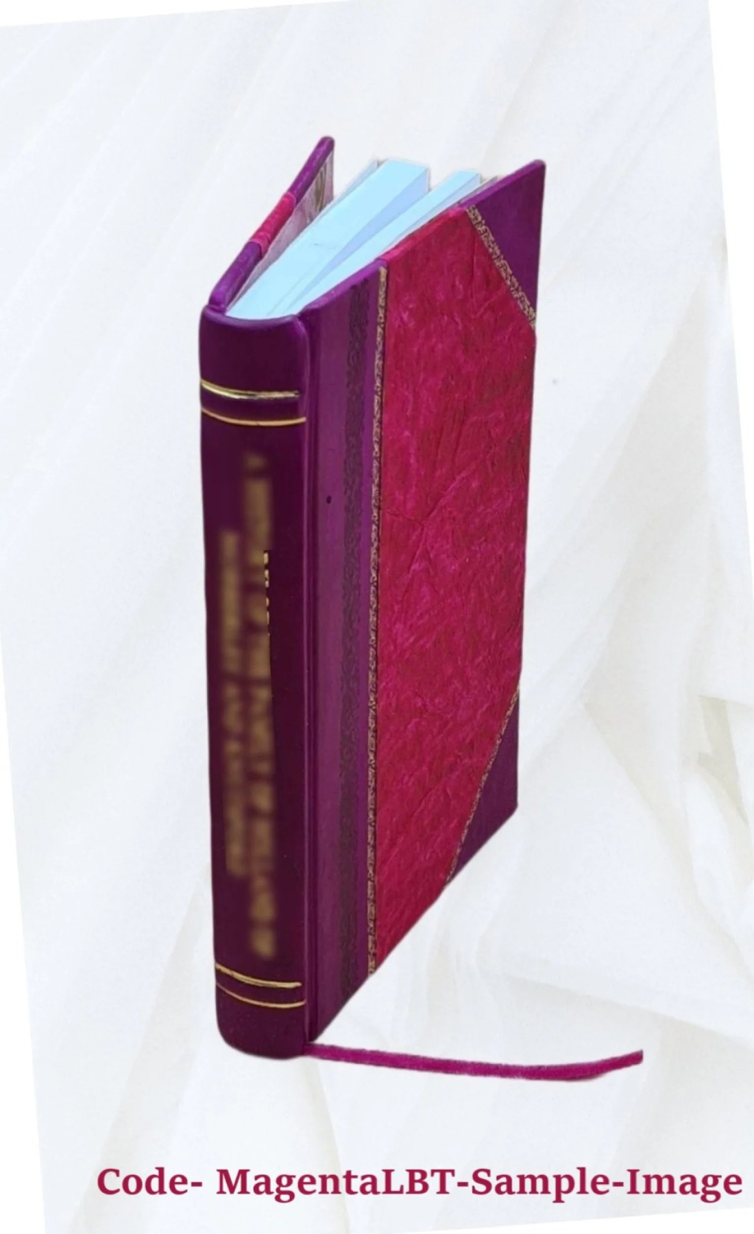 Father Damien Volume 370 1923 Leather Bound R43938