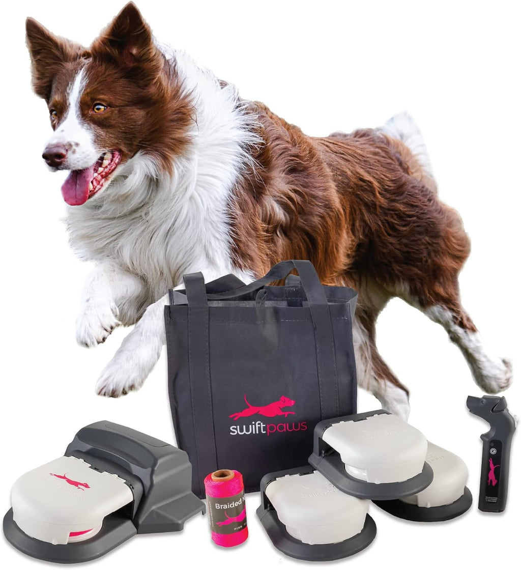 Remote-Control Capture-The-Flag Toy for Dogs C7239