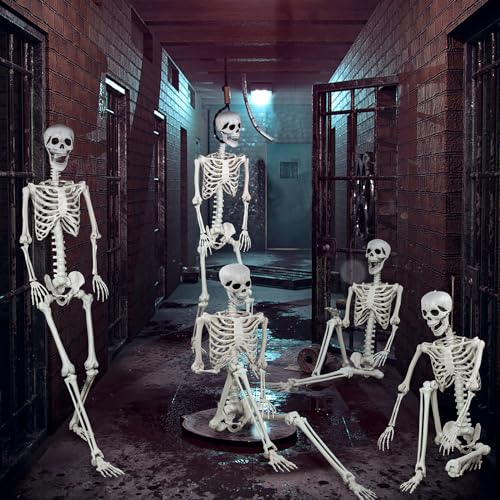 5.9ft Halloween Life Size Skeleton Plastic Human Bones with Movable Joints M496166