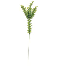 Eucalyptus Stem Green K989951