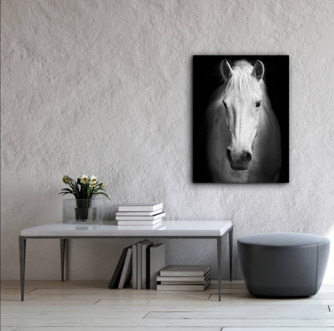 White Horse Face Photography Canvas Art Y9801
