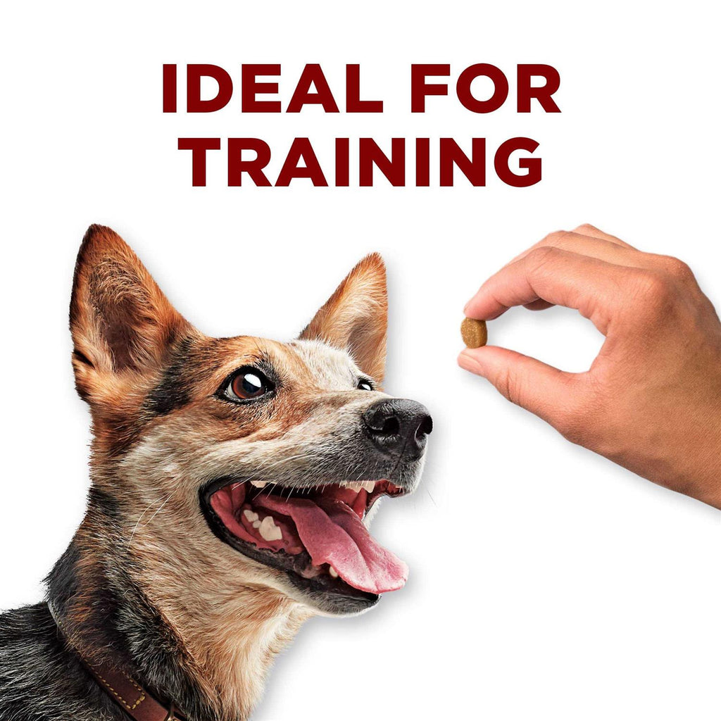 Dog Training Treats with Farm-Raised Chicken T26291