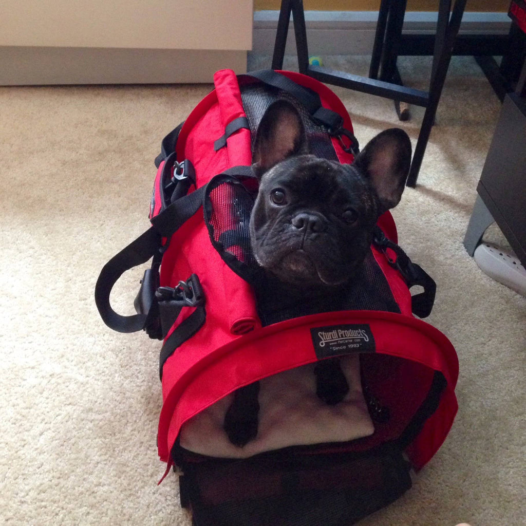 Large Pet Carrier Red D486074