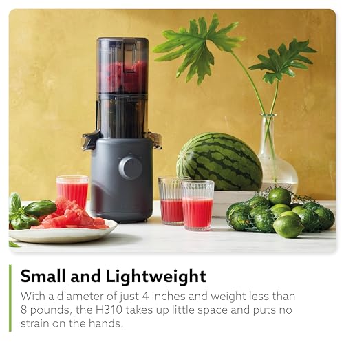 Self Feeding Slow Masticating Juicer T7283