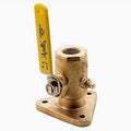 2-1/2 Sea Flange Valve L60012