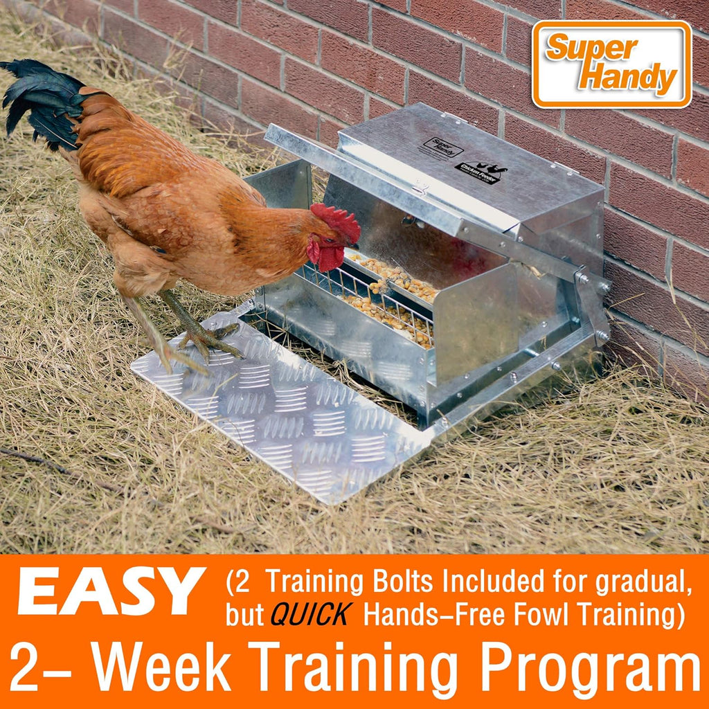Chicken Feeder Automatic 20lbs Capacity Galvanized Steel B7191