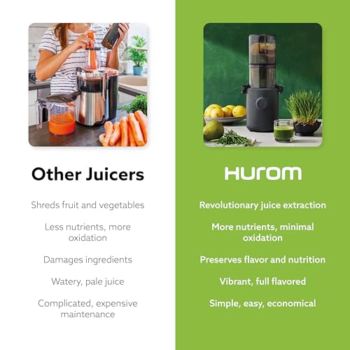 Self Feeding Slow Masticating Juicer T7283