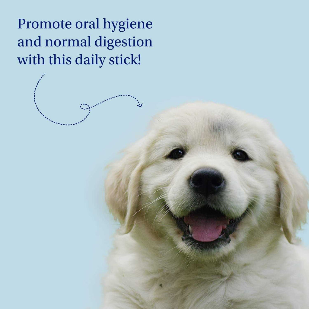 Dental Sticks Dog Dental Chews Q5484
