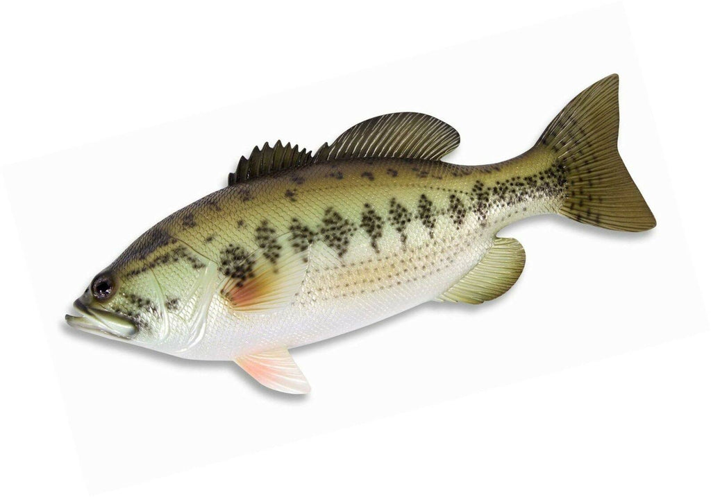 Large Mouth Bass Wall Mount Decor Plaque 18x22 S912185