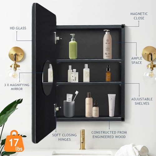 Frameless Beveled Medicine Cabinet Mirror with Storage L322413