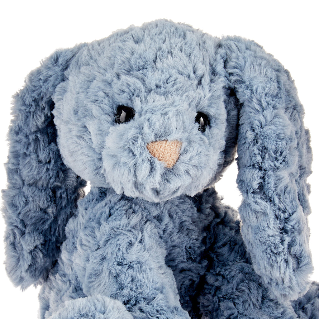 Blue Bunny Plush B3812
