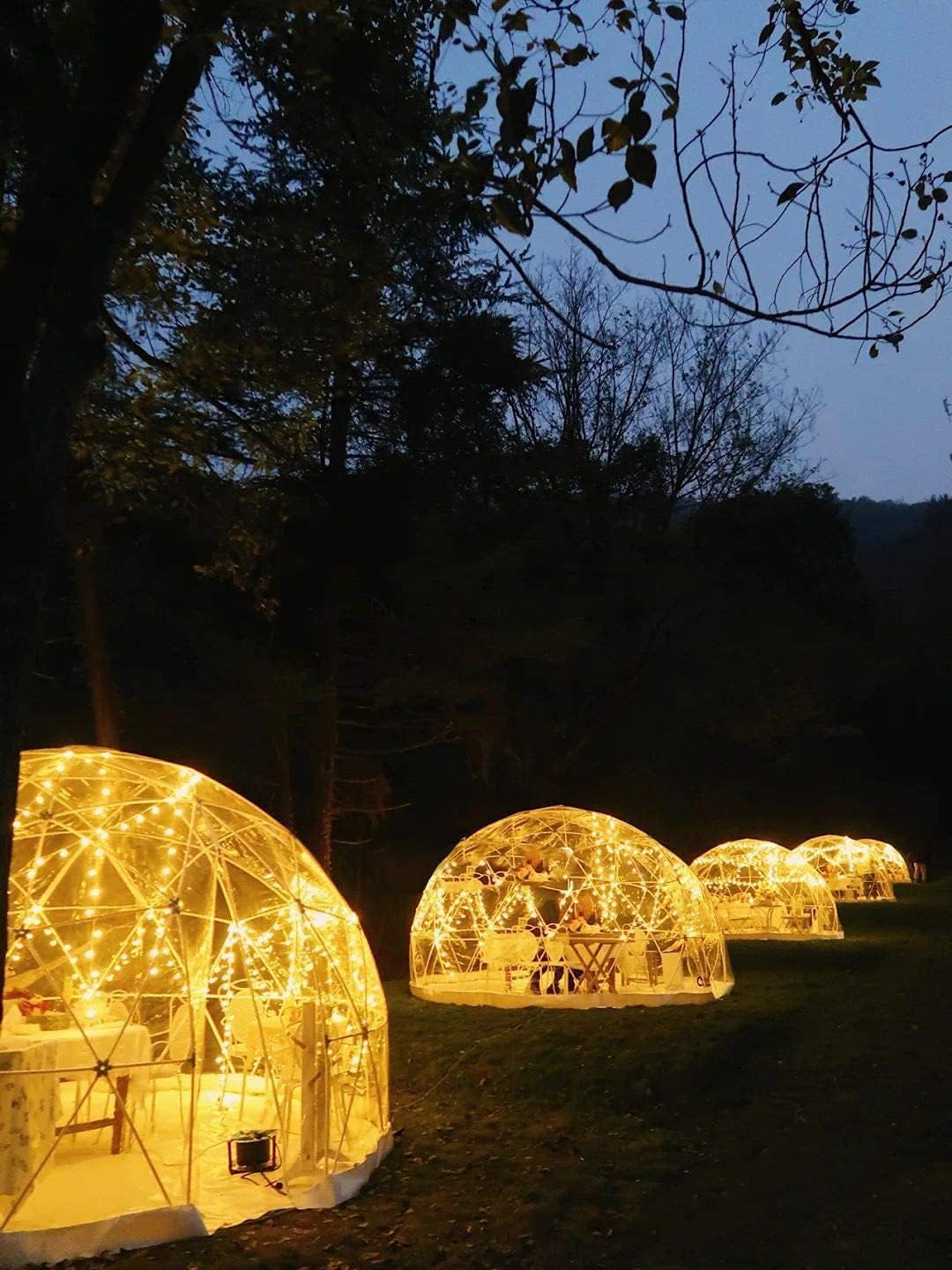 12ft Clear Geodesic Dome Tent D227505
