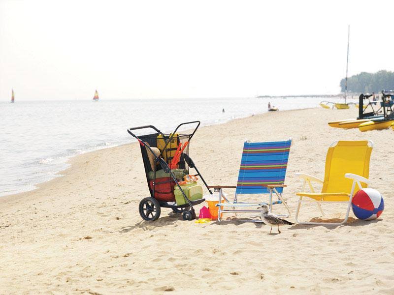 Beach Cart T690775