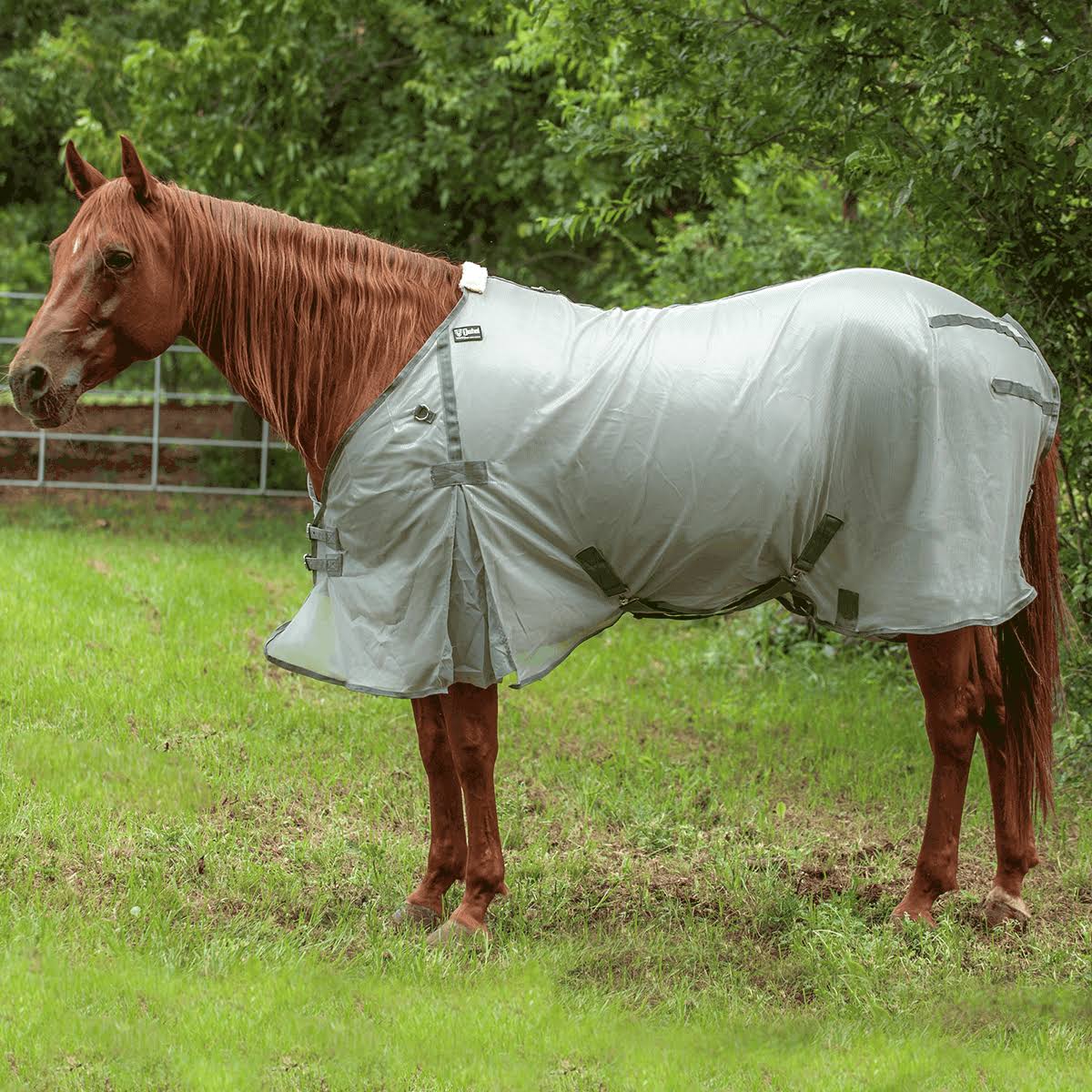 Econo Fly Sheet I676