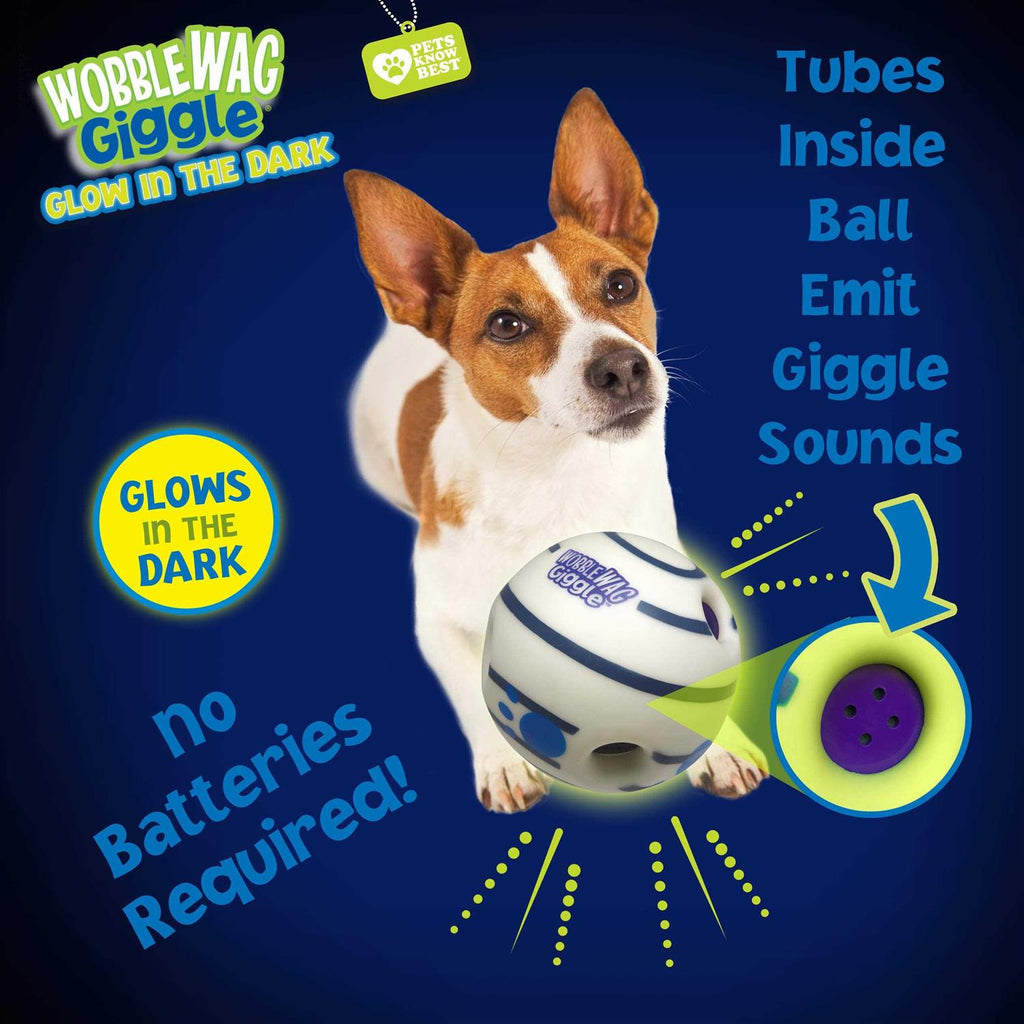 Interactive Dog Toy U526826