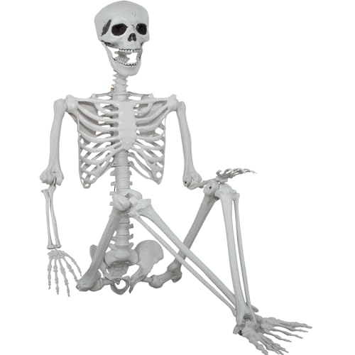 5.9ft Halloween Life Size Skeleton Plastic Human Bones with Movable Joints M496166