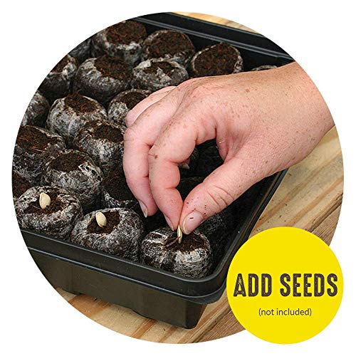 36 Cell 36mm Peat Pellets Seed Starting Tray Kit, 3 Pack F461