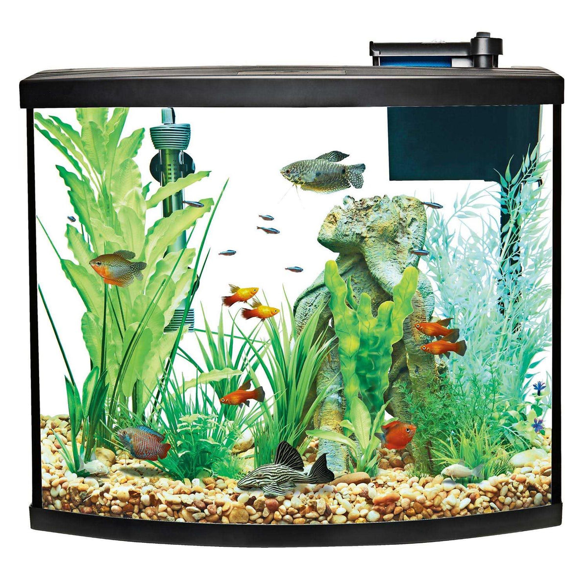 Bow Front Aquarium Tank Starter Kit M47214