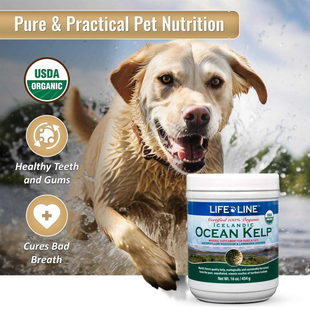 Ocean Kelp Dog & Cat Supplement U2168