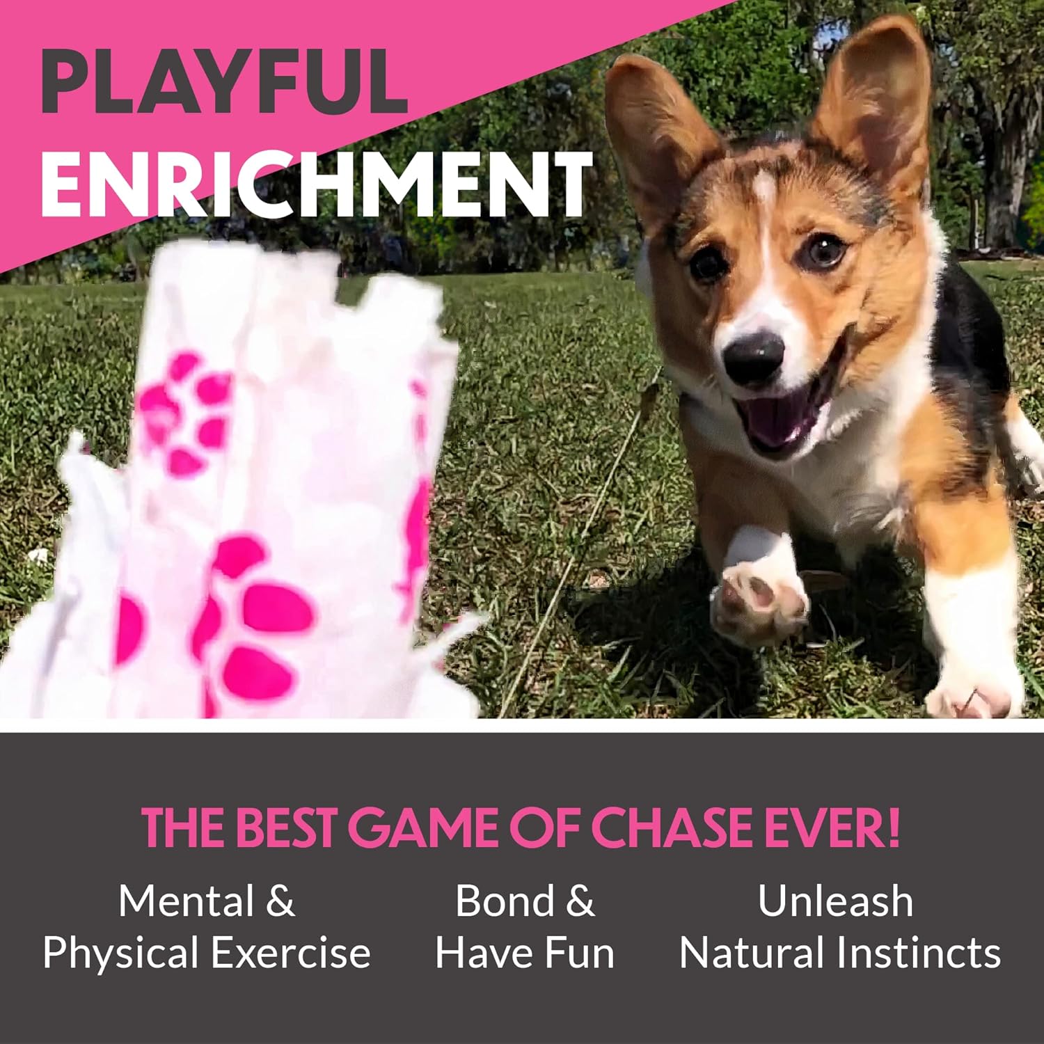Remote-Control Capture-The-Flag Toy for Dogs C7239