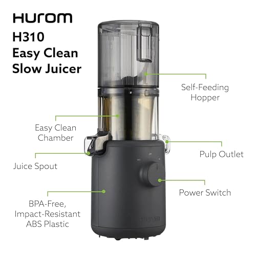 Self Feeding Slow Masticating Juicer T7283
