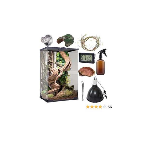 Reptile Terrarium 8 * 8 * 12 Vertical Habitat Tank Starter Kit B165