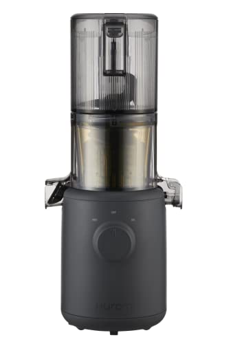 Self Feeding Slow Masticating Juicer T7283