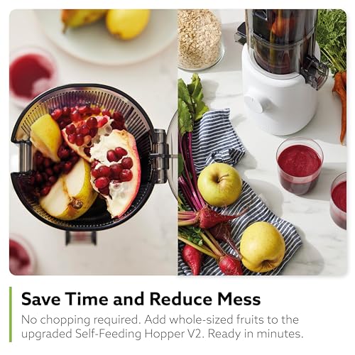 Self Feeding Slow Masticating Juicer T7283