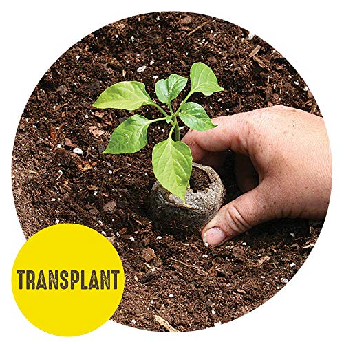 36 Cell 36mm Peat Pellets Seed Starting Tray Kit, 3 Pack F461