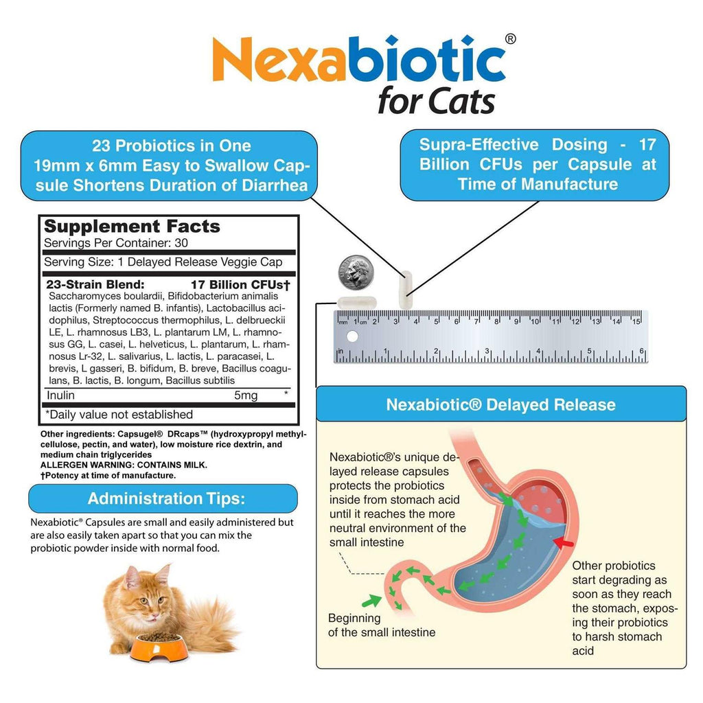 Probiotics Powder for Cats with Saccharomyces Boulardii Lactobacillus Acidophilus N257784
