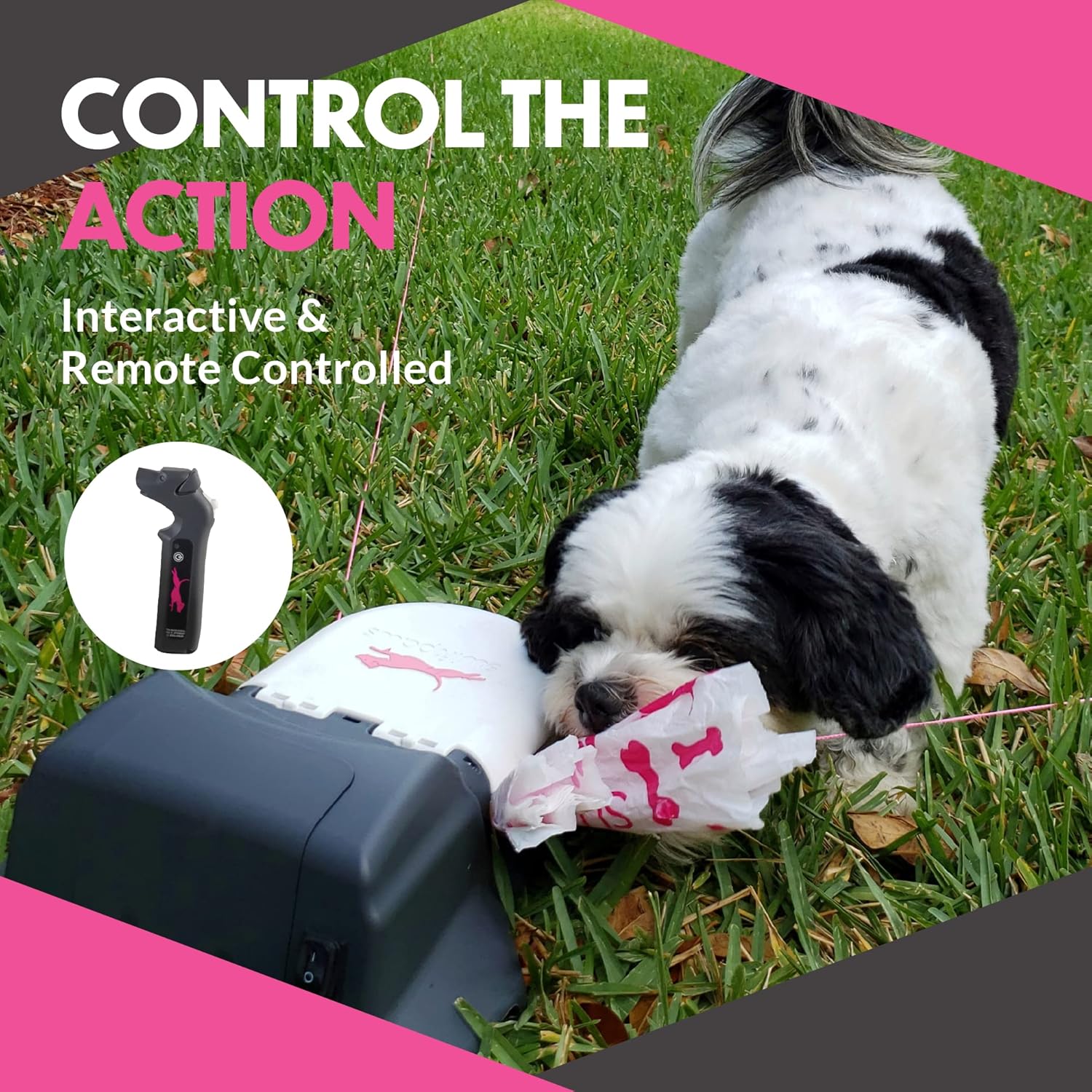 Remote-Control Capture-The-Flag Toy for Dogs C7239