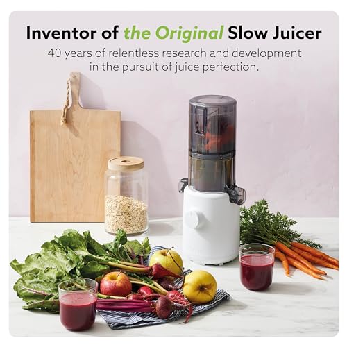 Self Feeding Slow Masticating Juicer T7283