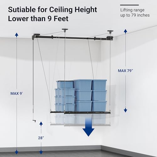 Carbon Black 4x4 Ft Heavy-Duty Overhead Garage Storage Rack N253546