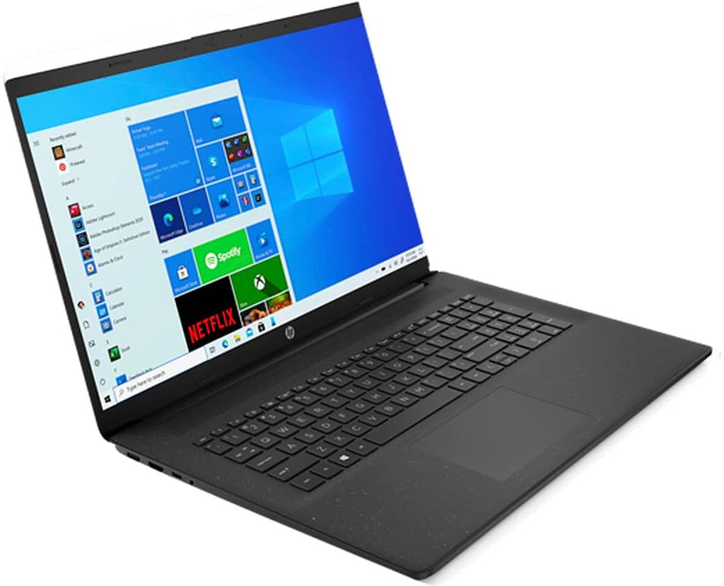 17.3 HD+ Screen AMD Athlon Gold 3150U Processor Windows 10 Home Black 16GB RAM 1TB SSD Laptop Z217530